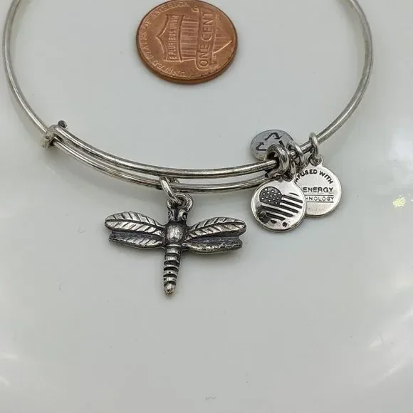 Alex and Ani Rafaleian Silver Dragonfly Bracelet - Picture 4 of 6